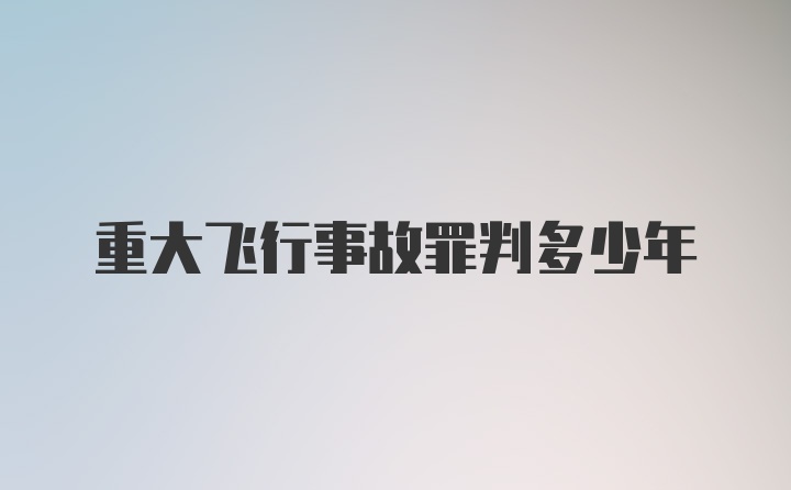 重大飞行事故罪判多少年