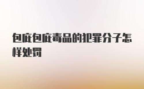 包庇包庇毒品的犯罪分子怎样处罚