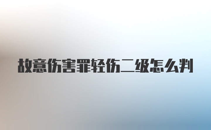 故意伤害罪轻伤二级怎么判