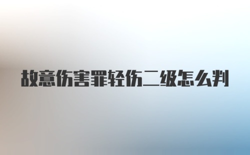 故意伤害罪轻伤二级怎么判