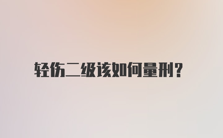 轻伤二级该如何量刑？