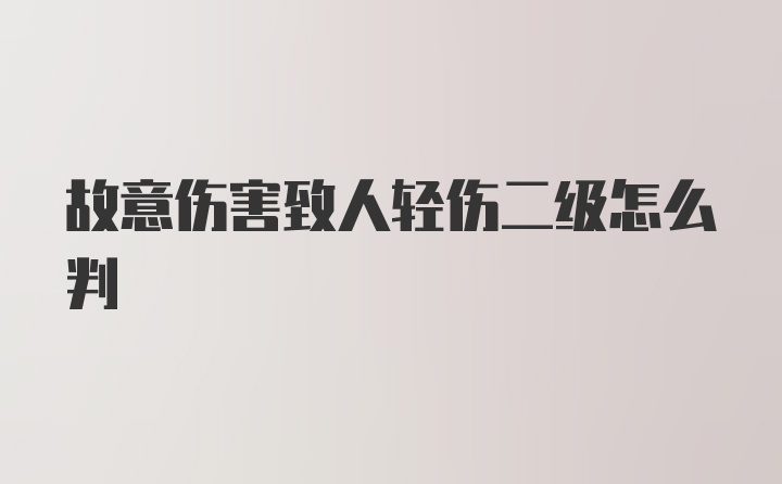 故意伤害致人轻伤二级怎么判