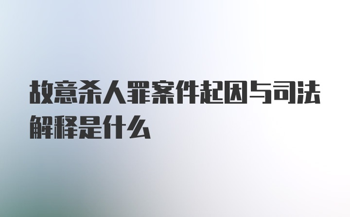 故意杀人罪案件起因与司法解释是什么