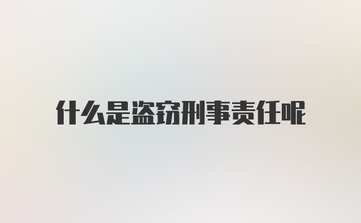 什么是盗窃刑事责任呢