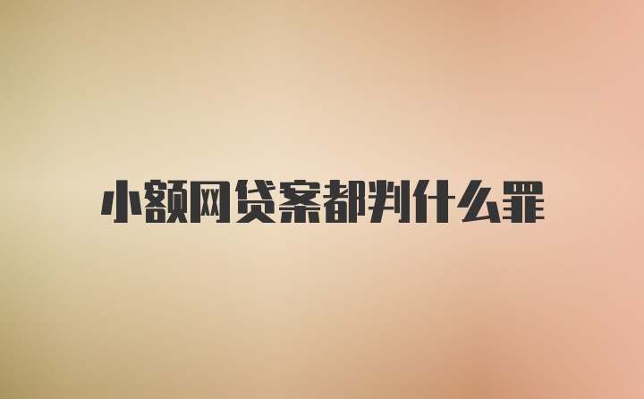 小额网贷案都判什么罪