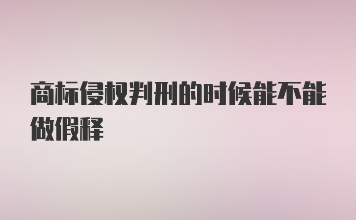 商标侵权判刑的时候能不能做假释