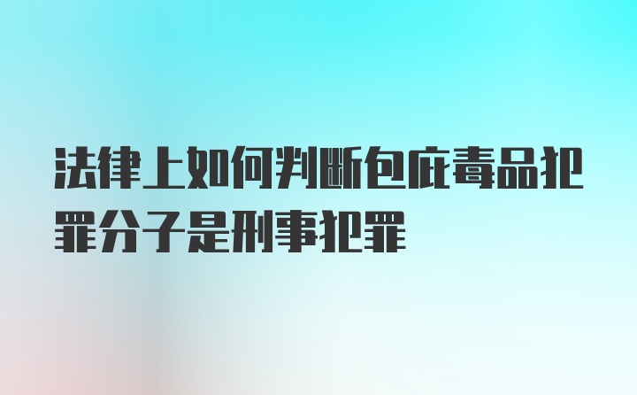 法律上如何判断包庇毒品犯罪分子是刑事犯罪