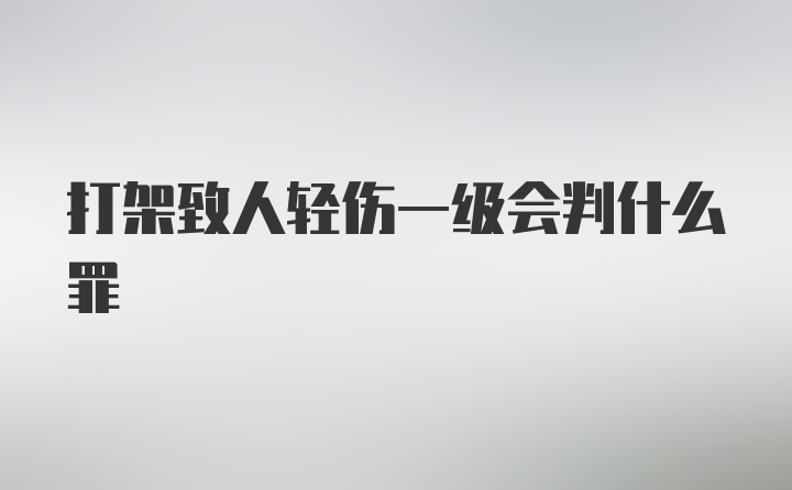 打架致人轻伤一级会判什么罪