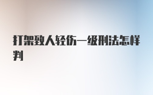 打架致人轻伤一级刑法怎样判