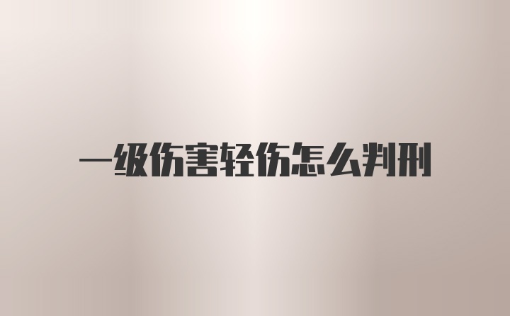 一级伤害轻伤怎么判刑