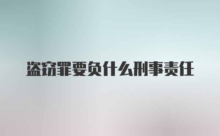 盗窃罪要负什么刑事责任