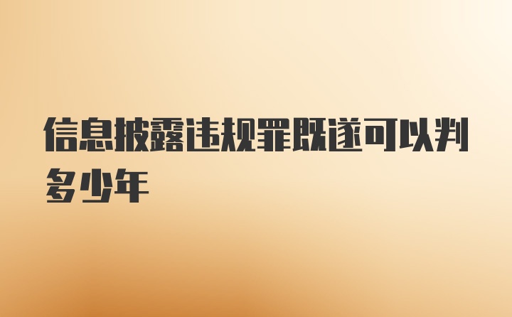 信息披露违规罪既遂可以判多少年