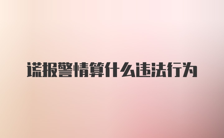 谎报警情算什么违法行为