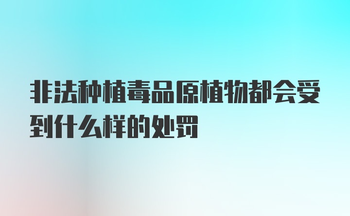 非法种植毒品原植物都会受到什么样的处罚