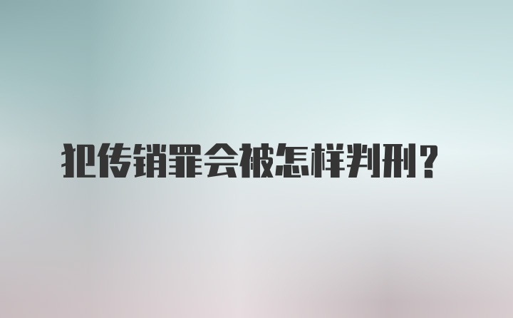 犯传销罪会被怎样判刑?