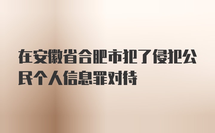 在安徽省合肥市犯了侵犯公民个人信息罪对待