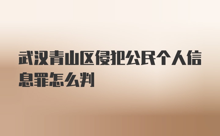 武汉青山区侵犯公民个人信息罪怎么判