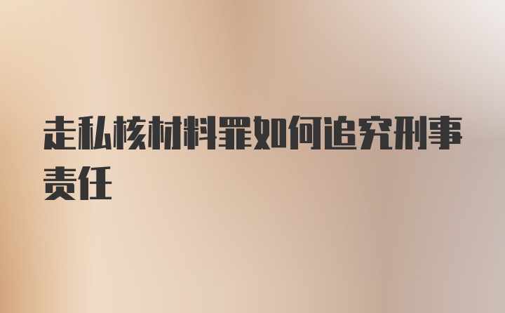 走私核材料罪如何追究刑事责任