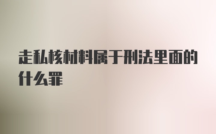 走私核材料属于刑法里面的什么罪