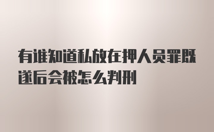 有谁知道私放在押人员罪既遂后会被怎么判刑