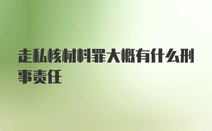 走私核材料罪大概有什么刑事责任