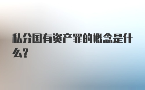 私分国有资产罪的概念是什么?