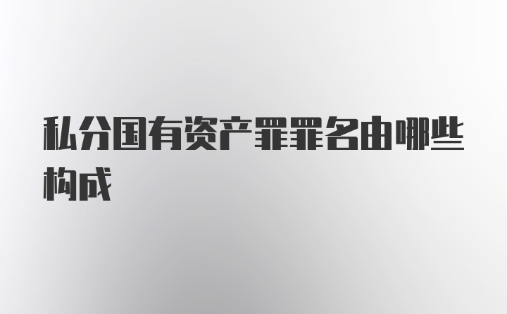 私分国有资产罪罪名由哪些构成