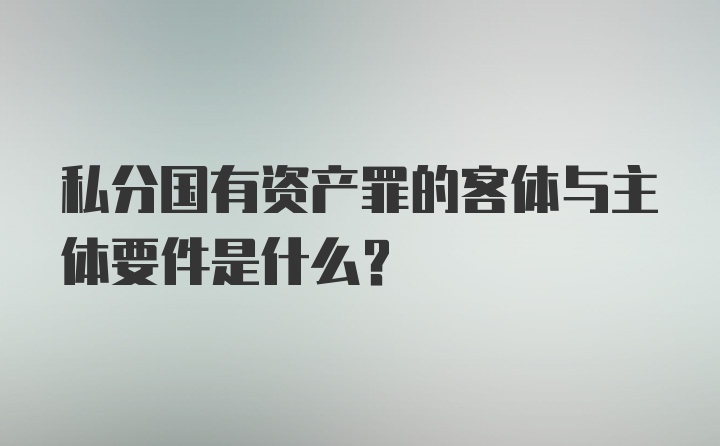 私分国有资产罪的客体与主体要件是什么？