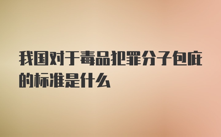 我国对于毒品犯罪分子包庇的标准是什么