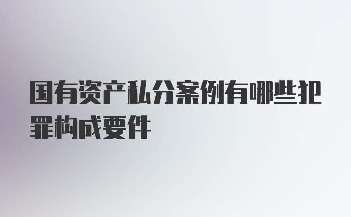 国有资产私分案例有哪些犯罪构成要件