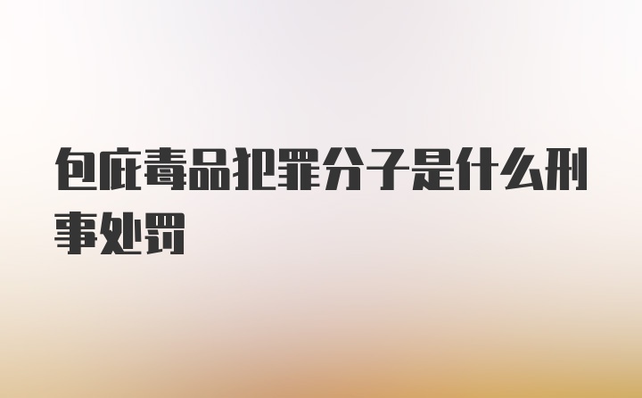 包庇毒品犯罪分子是什么刑事处罚