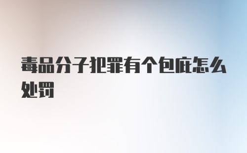 毒品分子犯罪有个包庇怎么处罚