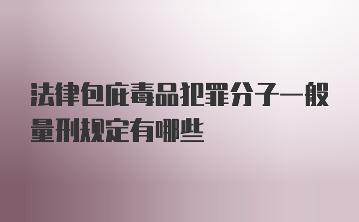 法律包庇毒品犯罪分子一般量刑规定有哪些