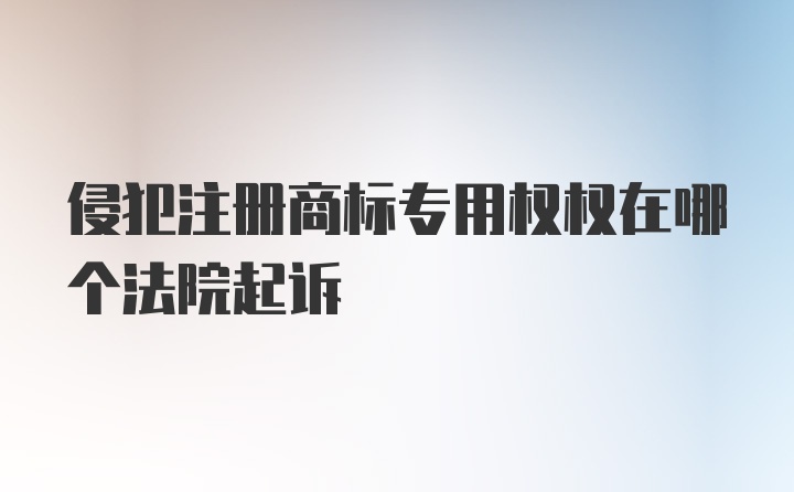 侵犯注册商标专用权权在哪个法院起诉