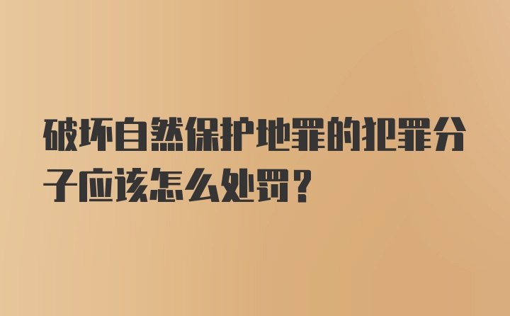 破坏自然保护地罪的犯罪分子应该怎么处罚？