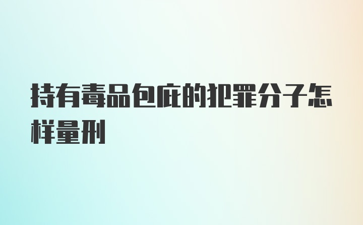 持有毒品包庇的犯罪分子怎样量刑