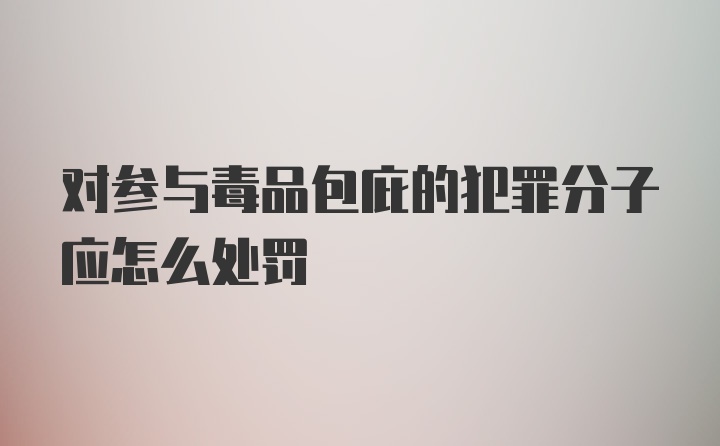 对参与毒品包庇的犯罪分子应怎么处罚