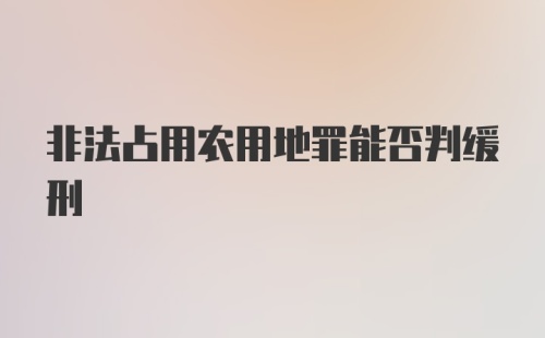 非法占用农用地罪能否判缓刑