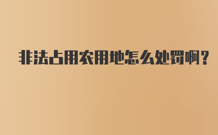 非法占用农用地怎么处罚啊？