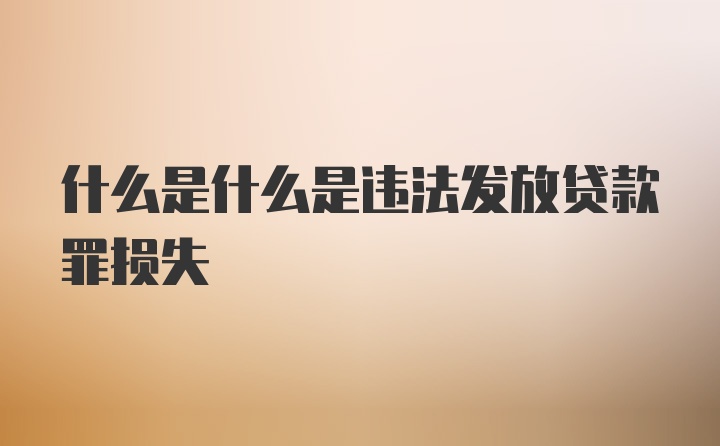 什么是什么是违法发放贷款罪损失