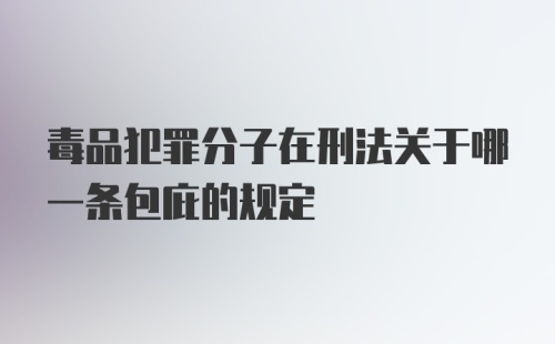 毒品犯罪分子在刑法关于哪一条包庇的规定