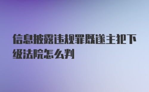 信息披露违规罪既遂主犯下级法院怎么判