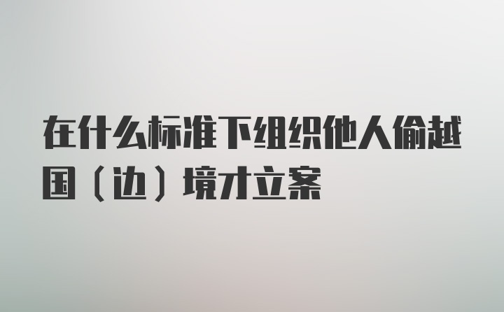 在什么标准下组织他人偷越国（边）境才立案