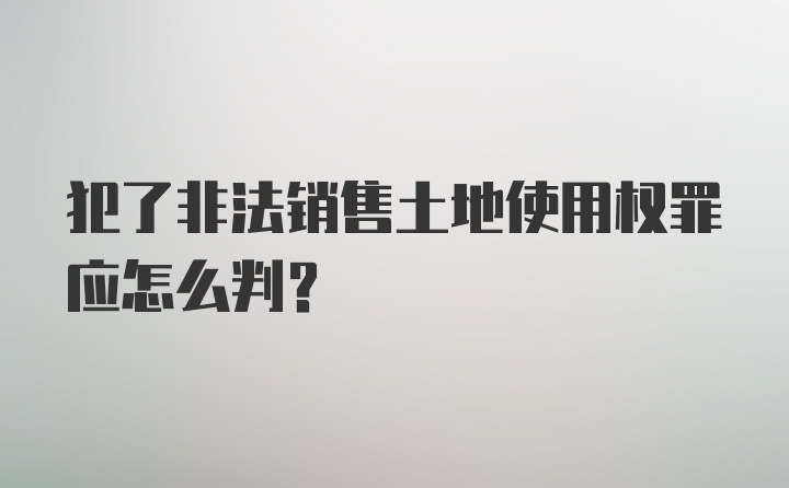 犯了非法销售土地使用权罪应怎么判?