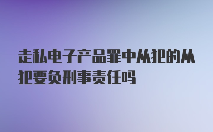 走私电子产品罪中从犯的从犯要负刑事责任吗