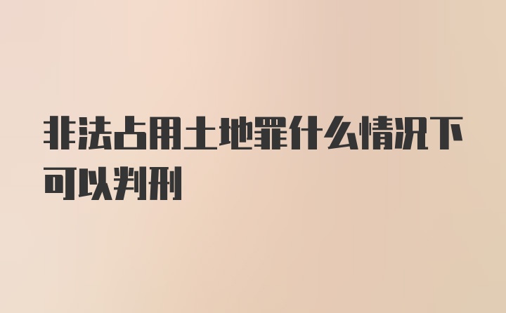 非法占用土地罪什么情况下可以判刑