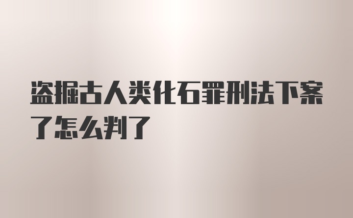 盗掘古人类化石罪刑法下案了怎么判了