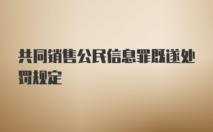 共同销售公民信息罪既遂处罚规定