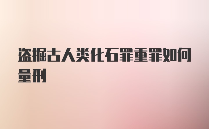 盗掘古人类化石罪重罪如何量刑