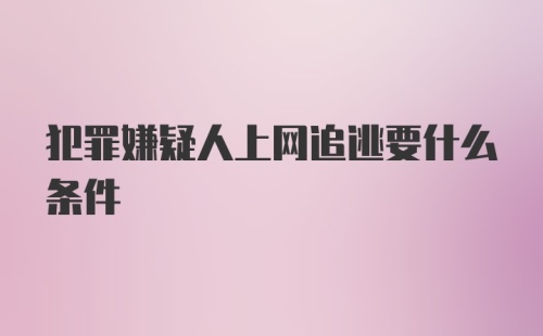 犯罪嫌疑人上网追逃要什么条件